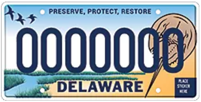 SamPlE deLaWaRE plate